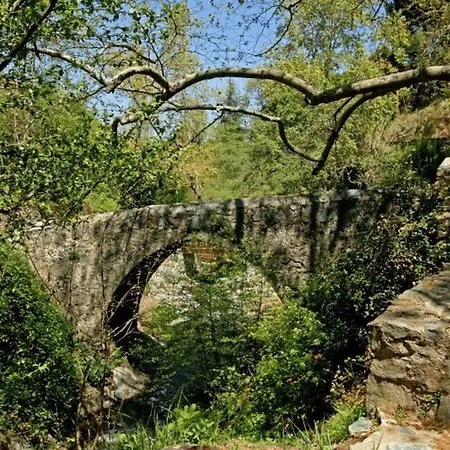 Imagine Renting This Luxury Troodos Mountains 119 Willa *